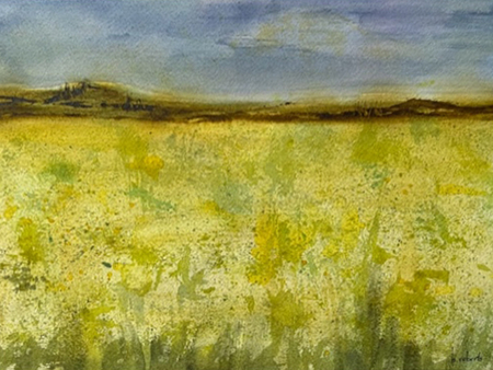 "Canola Field"