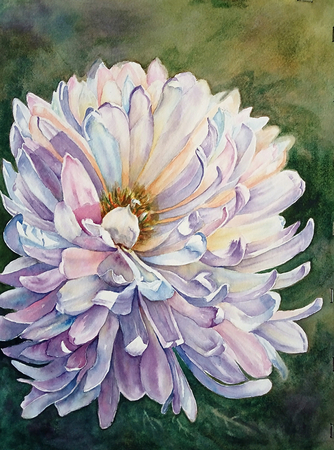"Delicate Beauty"