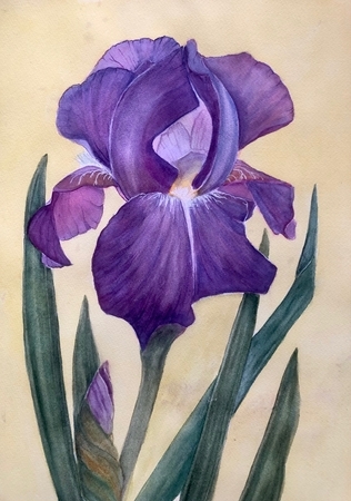 "Ode to Spring"