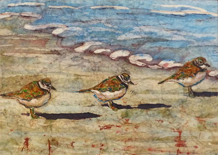 "Shore Birds: Three in a Row"