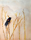 "Signs of Spring"