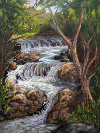 "Trout Stream"